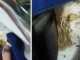 Waspada Bagian-bagian Helm Ini Paling Sering Kemasukan Kotoran Sampai Binatang Kecil